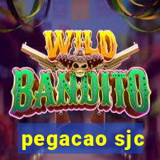 pegacao sjc